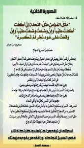 ابحار الصورة الذاتية